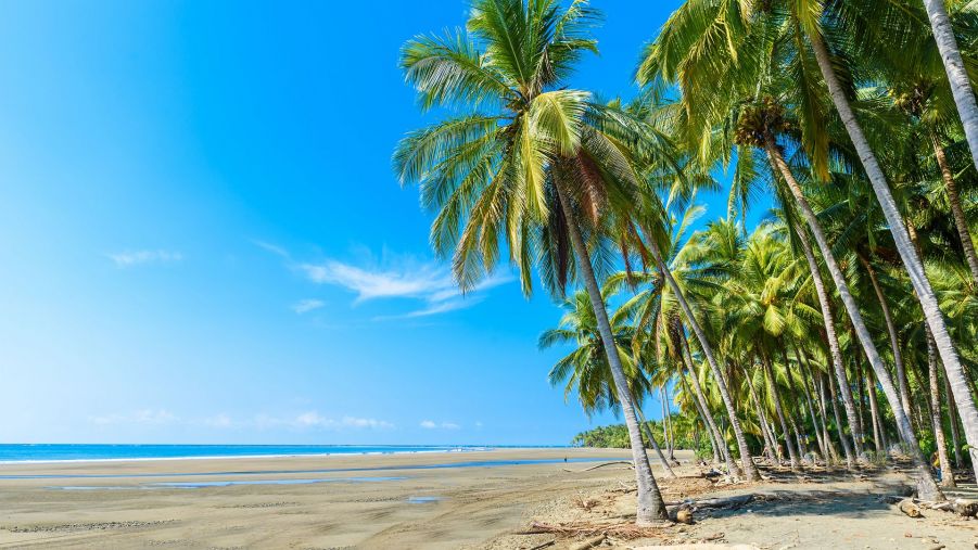Voyage Côte du Costa Rica - Plage - Amplitudes