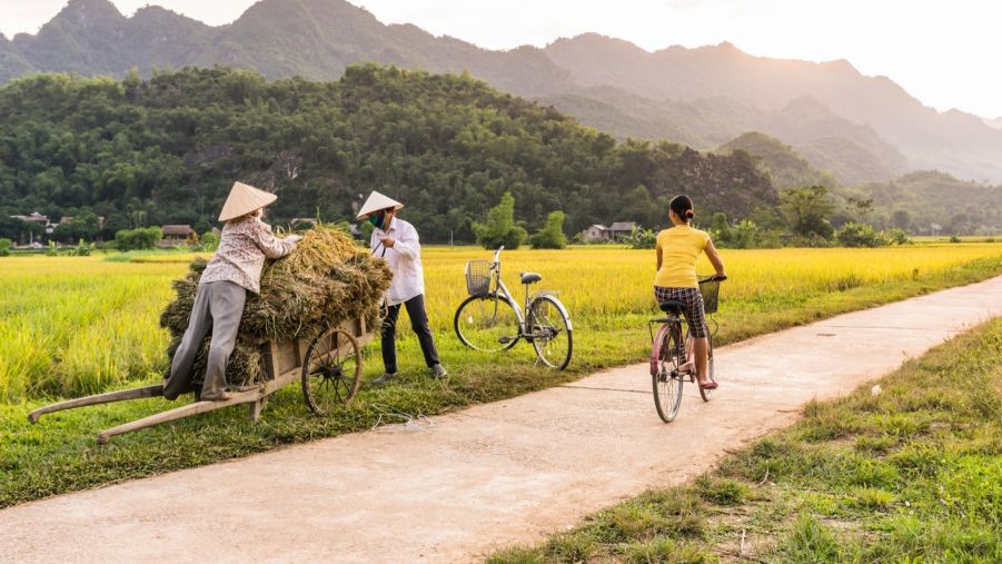 Circuit Vietnam en famille - Balade en rizière à vélo - Amplitudes