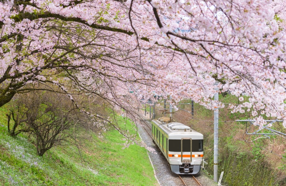 Voyage de luxe au Japon- Allez visiter le Pays du Soleil Levant en mars - Amplitudes