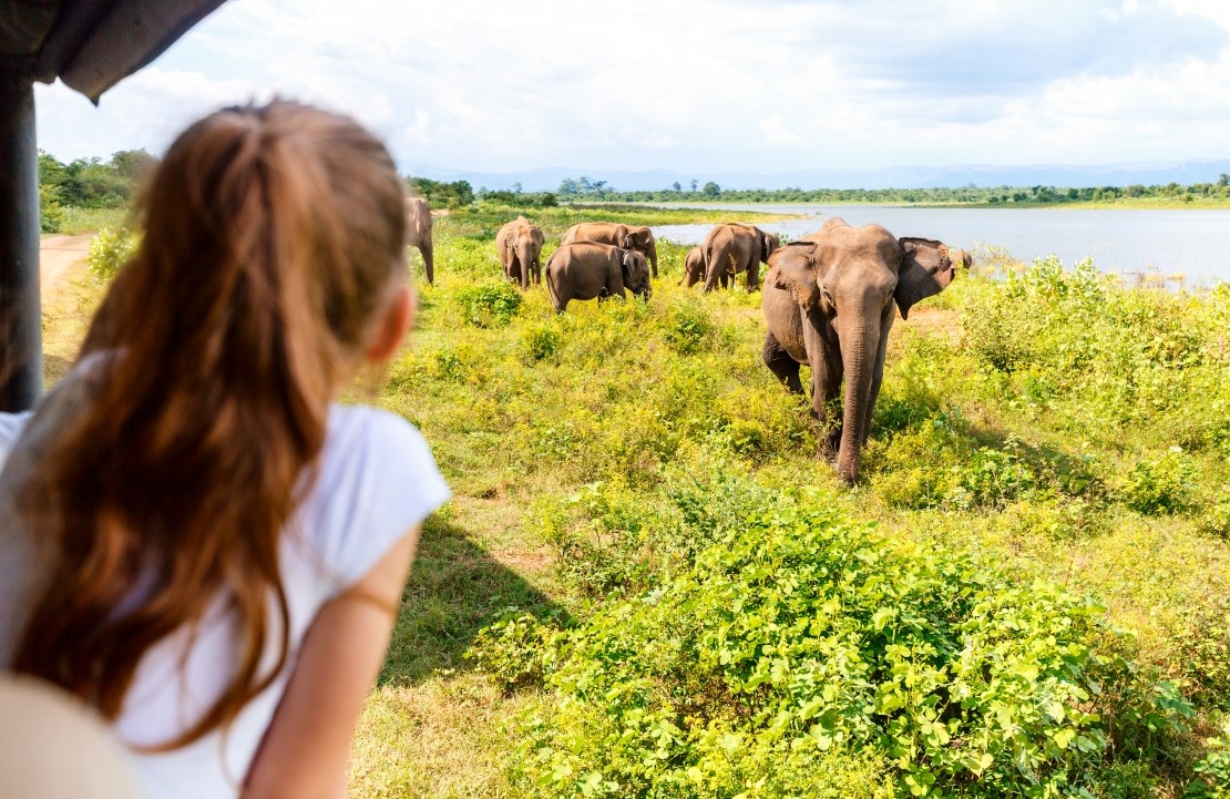 Voyage en Asie en famille - la découverte des éléphants au Sri Lanka - Amplitudes