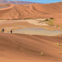 Quel pays d’Afrique visiter en famille, nos idées safaris