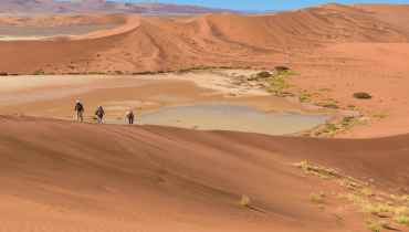 Partir en Afrique en famille – Le silence du désert du Namib - Amplitudes