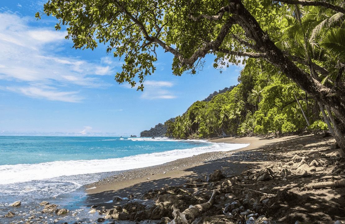 Expériences au Costa Rica – Le parc national du Corcovado face à la Baie de Drake - Amplitudes