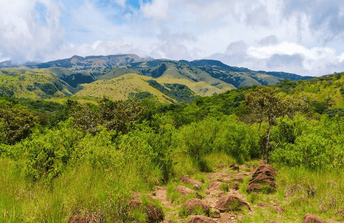 Séjour costaricain – La nature verdoyante du volcan Rincón de la Vieja - Amplitudes