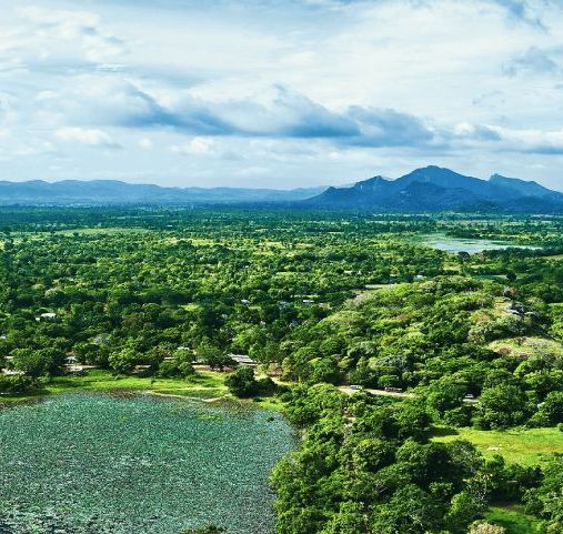 Randonner au Sri Lanka - La vie en vert à Sigiriya - Amplitudes