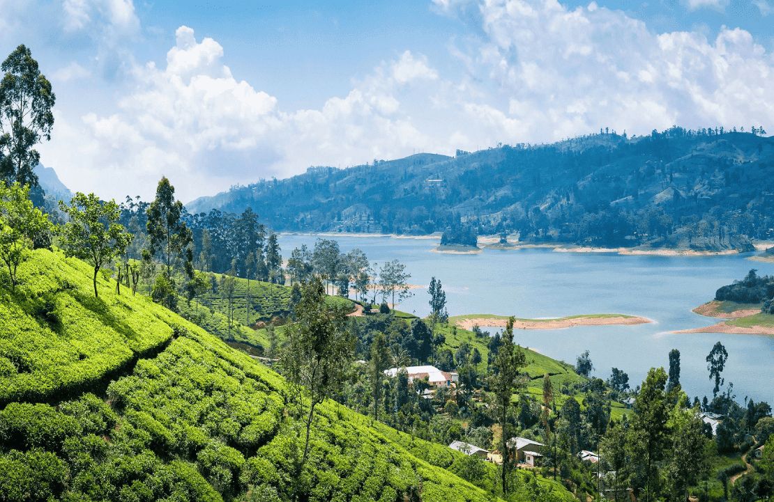 Circuit sur mesure au Sri  Lanka - La fraîcheur de Nuwara Eliya - Amplitudes