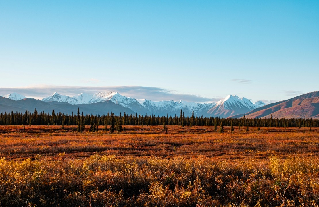 Voyage sur mesure en Alaska - Le Denali National Park - Amplitudes