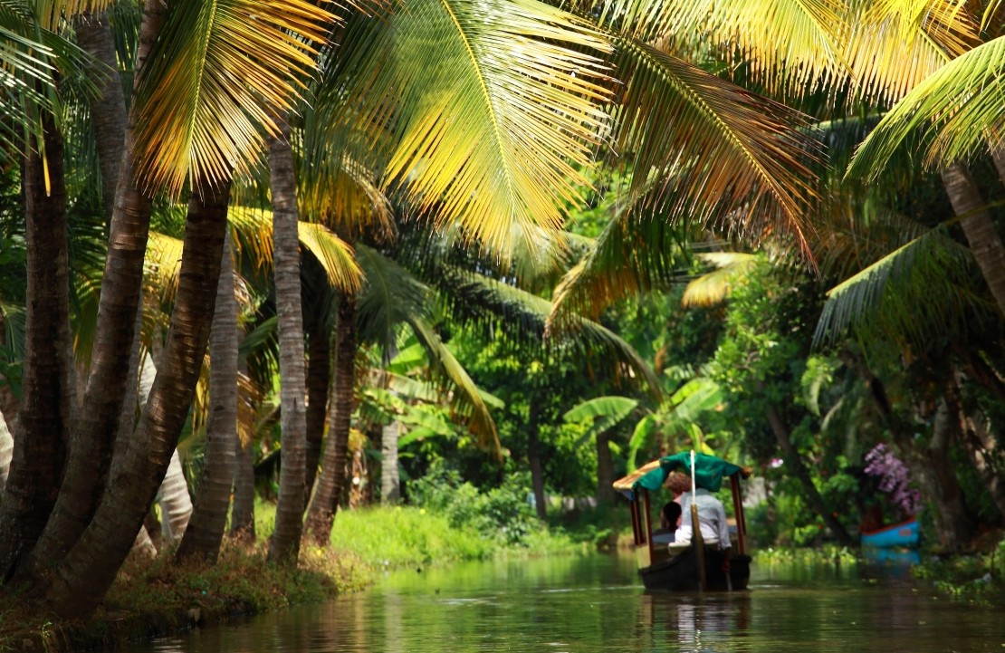 Voyage au Kerala - Une croisière en houseboat - Amplitudes