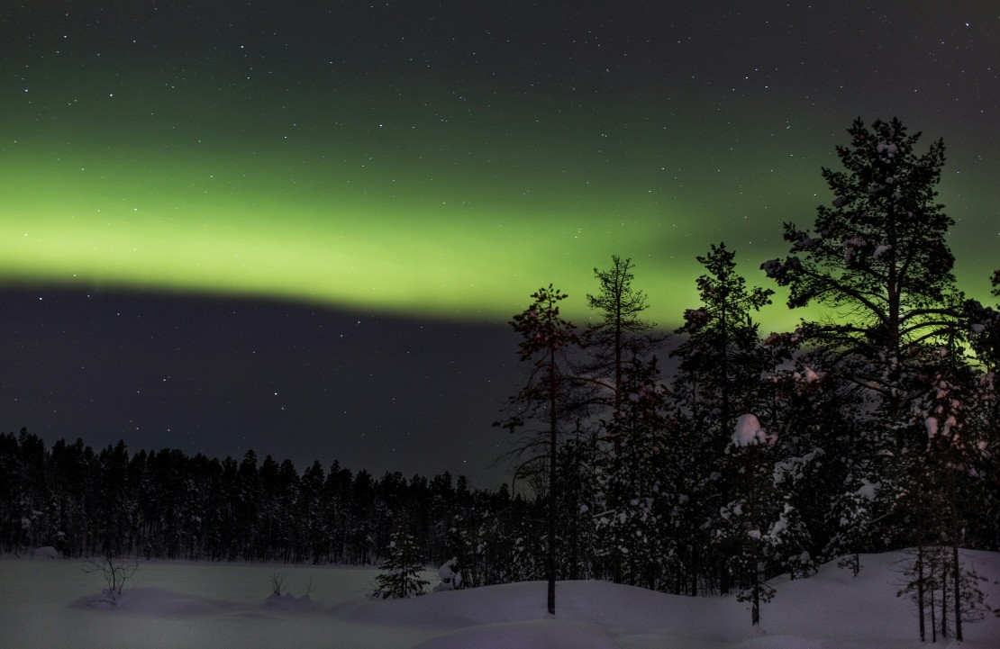 Voyage en Finlande en famille - Les aurores boréales au-dessus de la forêt - Amplitudes