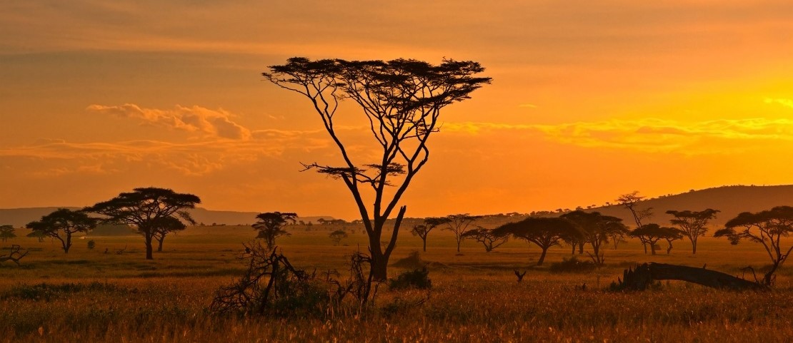 Voyage en Afrique sur mesure - fêtes de Noël - Amplitudes