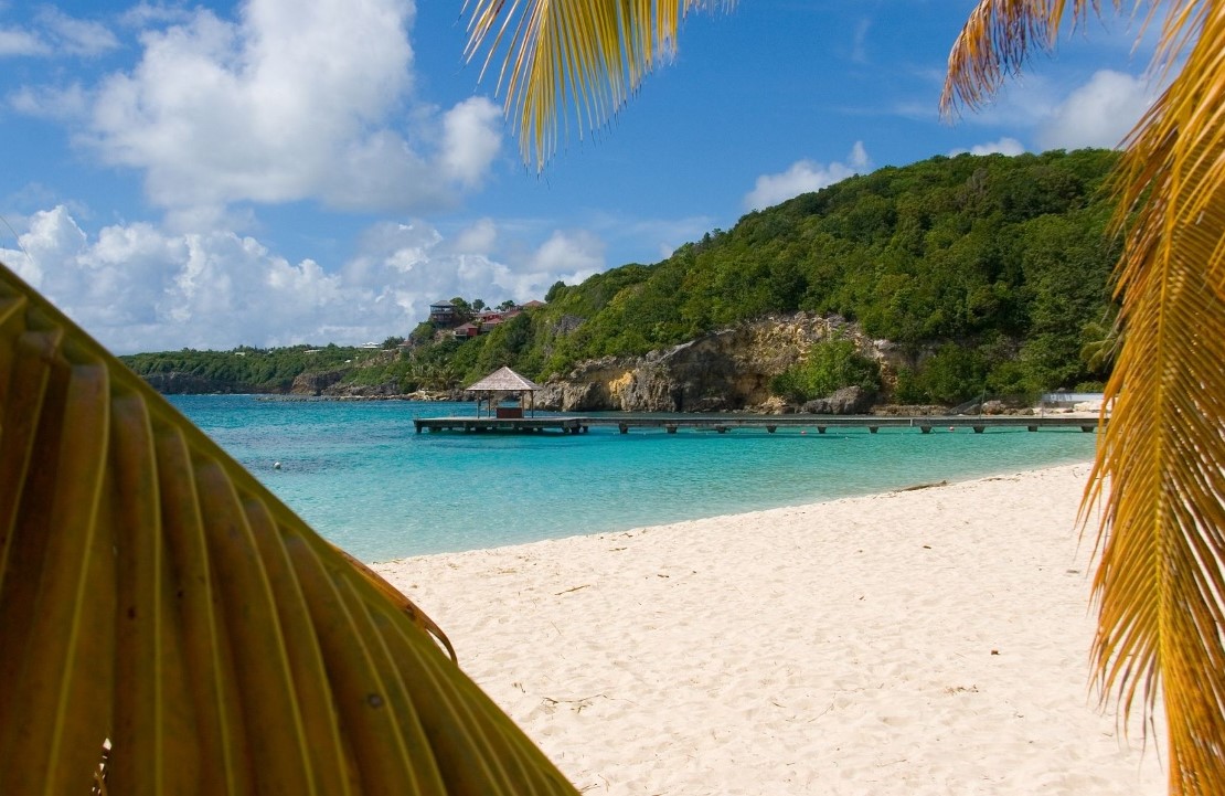 Expérience aux Caraïbes sous le soleil de Noël - Plage en Guadeloupe - Amplitudes