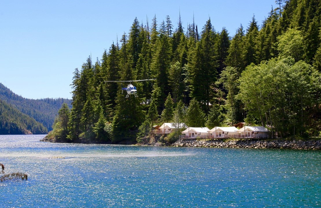 Voyage au Canada - La réserve de Clayoquot Sound - Amplitudes