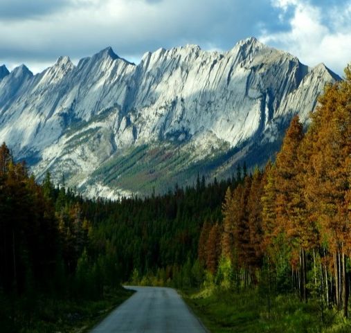 Escapade sur la côte ouest du Canada - En route vers les villes de Colombie-Britannique - Amplitudes