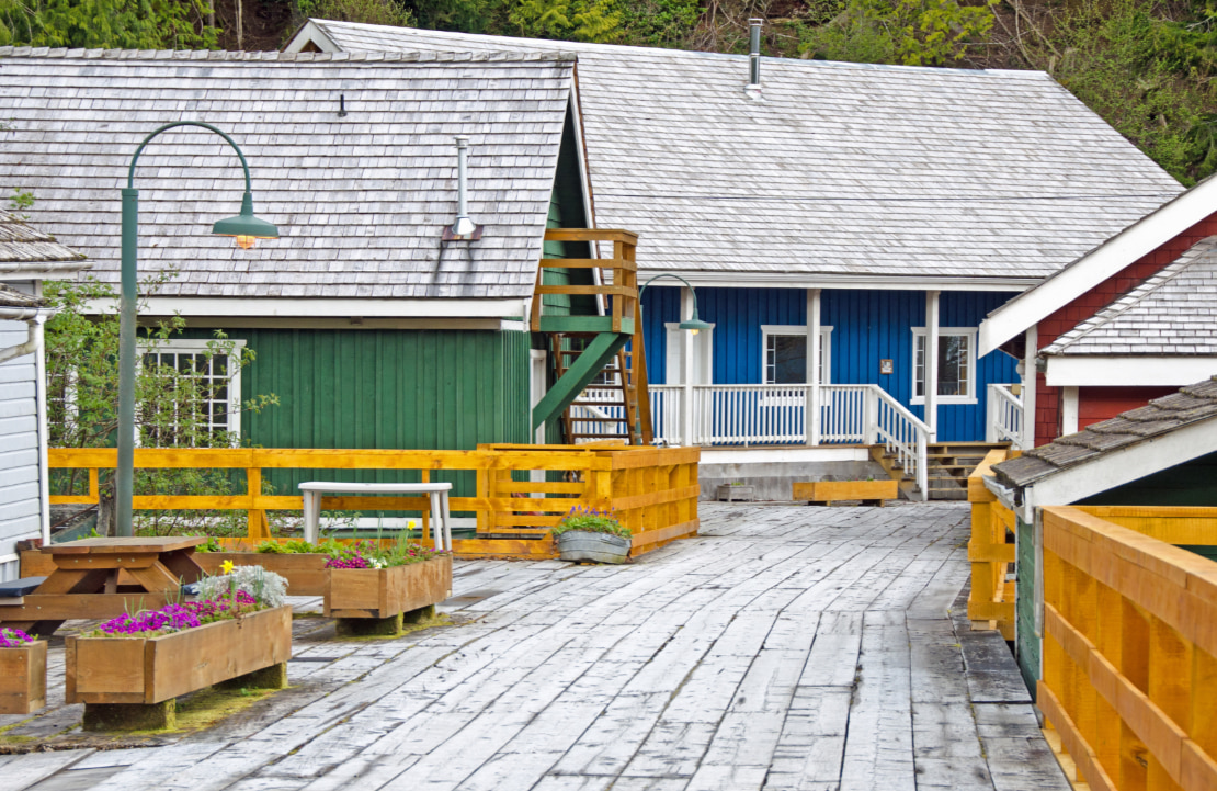 Road trip au Canada - Le village de Telegraph Cove - Amplitudes