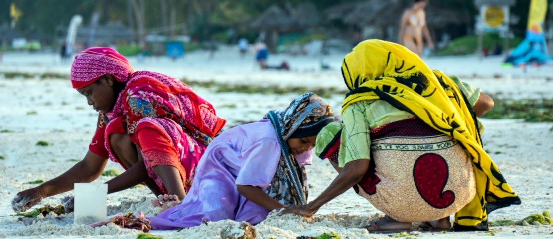 Voyage à Zanzibar sur mesure - Les seaweed mamas - Amplitudes
