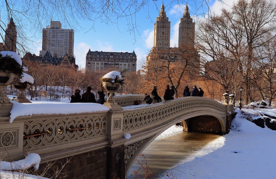 Voyage aux États-Unis - Une balade à Central Park - Amplitudes