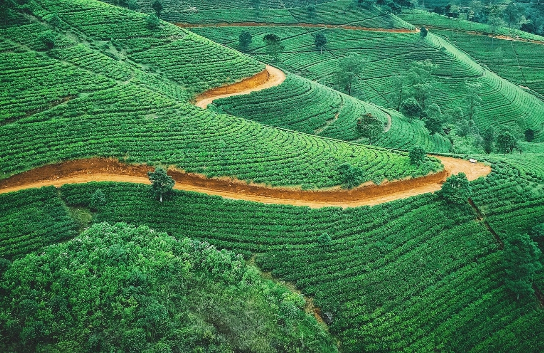 Séjour de 2 semaines au Sri Lanka - Plantations de thé de Nuwara Eliya - Amplitudes