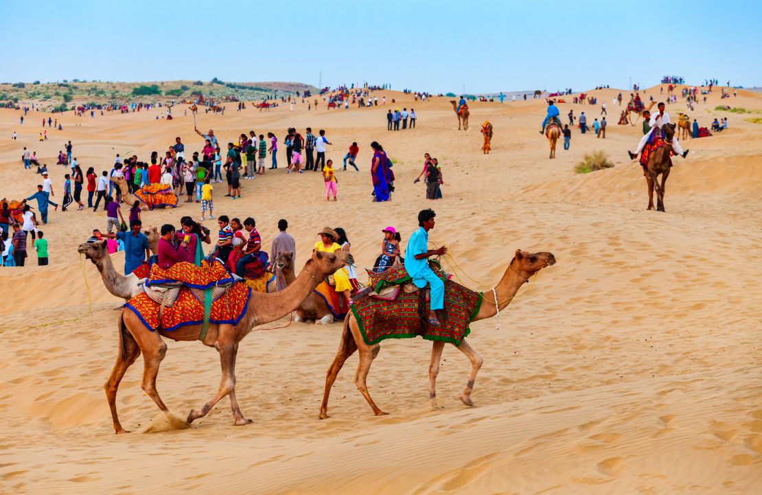 Voyage dans le désert du Thar - Les chameaux du festival du désert - Amplitudes