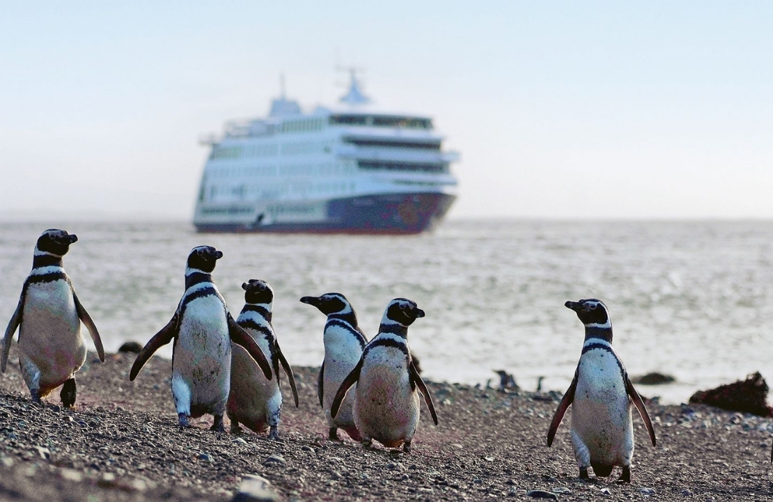 Croisière insolite en Argentine - Trésors d'Amérique du Sud Des Andes aux fjords patagoniens - Amplitudes