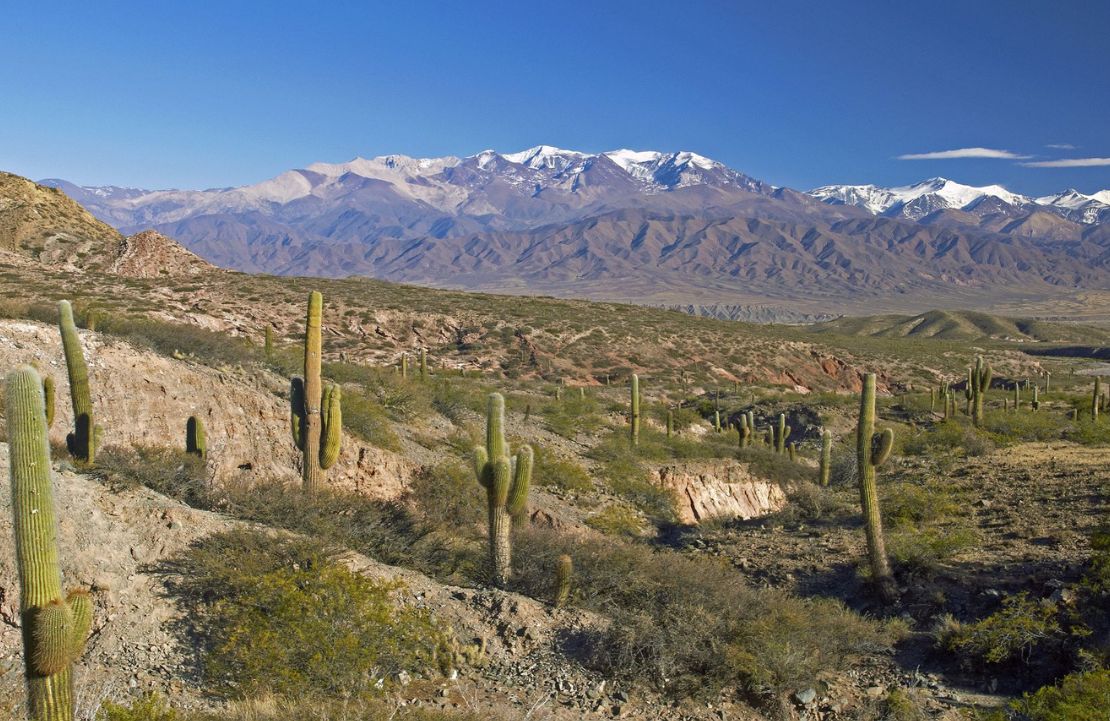 Road Trip en Argentine - la pampa du parc national de Los Cardones - Amplitudes