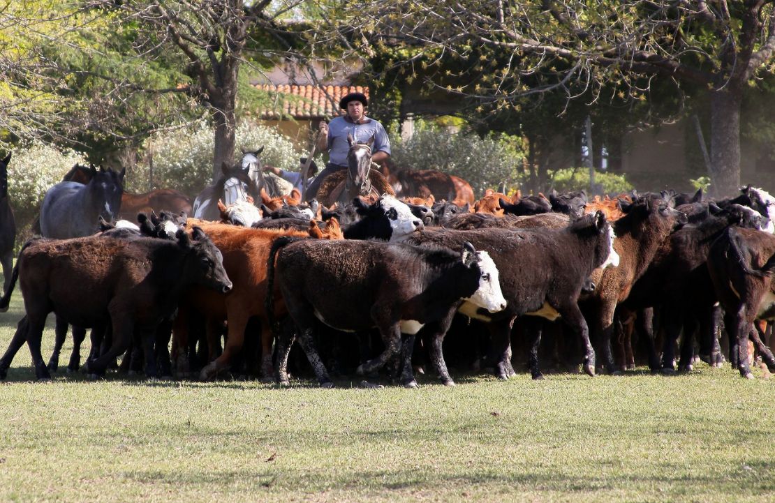 Séjour à l'Estancia El Ombu de Areco - traditions gauchos - Amplitudes