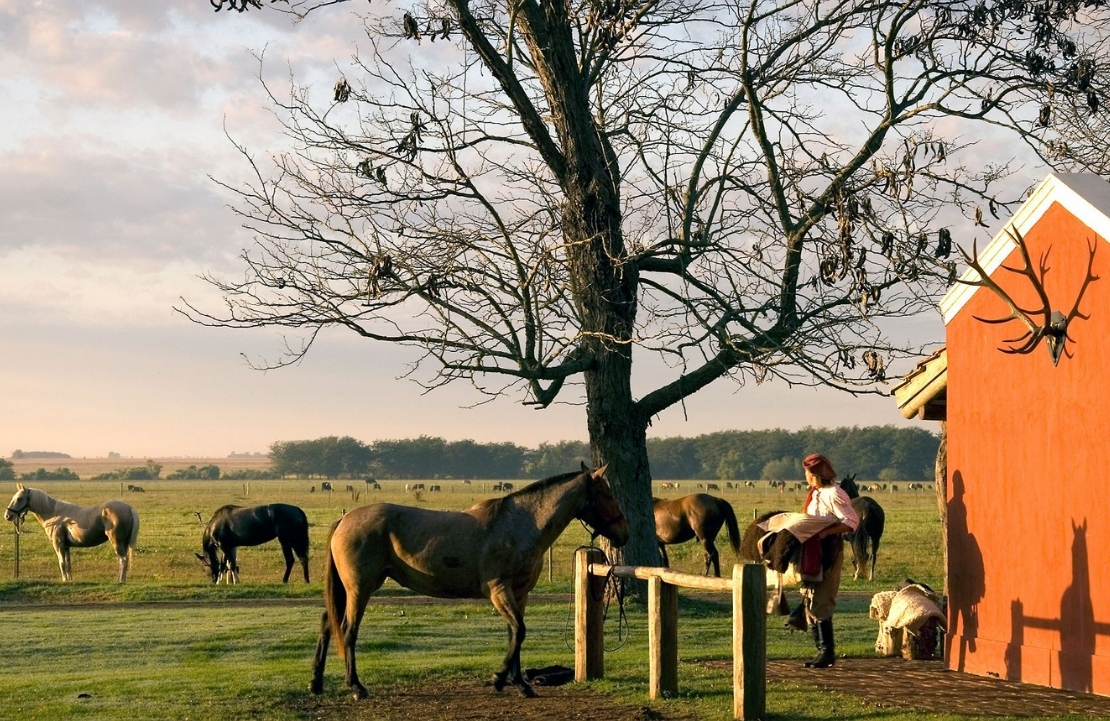 Séjour à l'Estancia la Bamba de Areco - vue sur l'extérieur de l'hôtel - Amplitudes