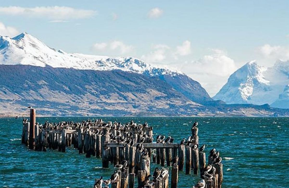 Voyage nature en Argentine - La Patagonie - Amplitudes