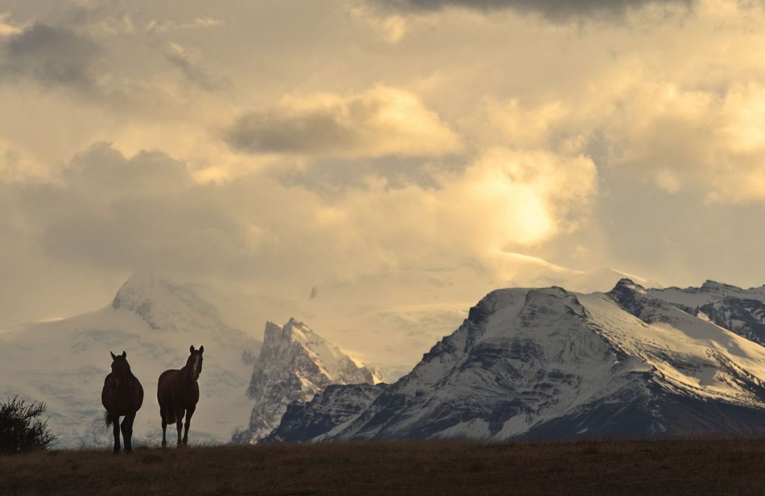 Voyage nature en Argentine - Terres extrêmes - Amplitudes