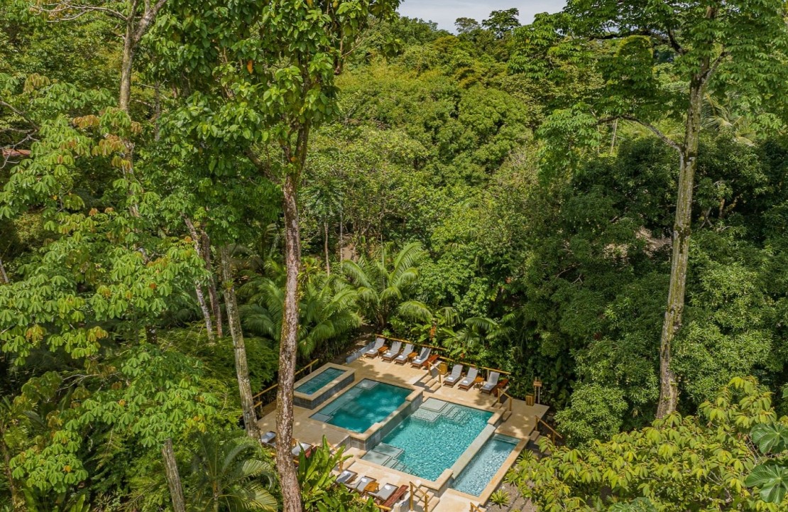 Séjour en écolodge dans les Caraïbes - Le Copa de Arbol resort - Amplitudes