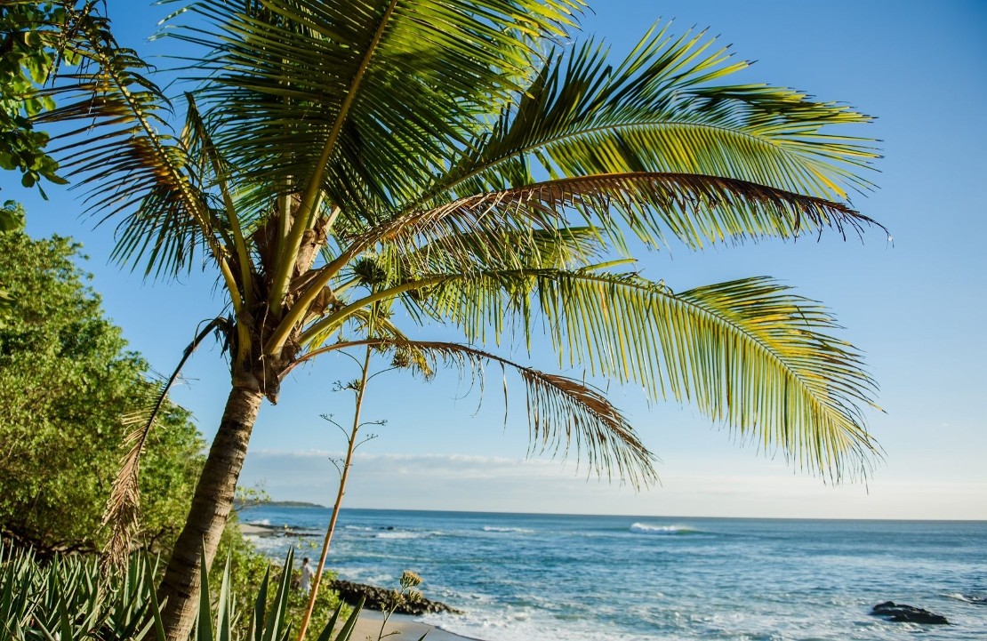 Voyage nature au Costa Rica - Les plages de rêve - Amplitudes