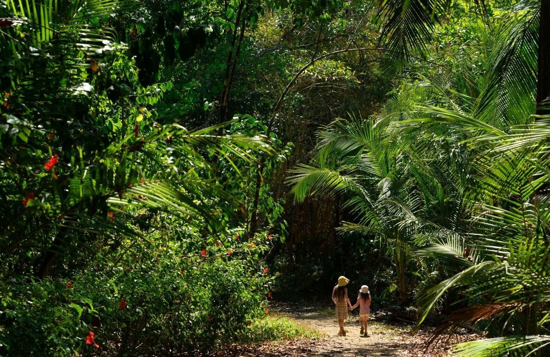 Voyage en famille au Costa Rica - Ensemble dans la jungle - Amplitudes