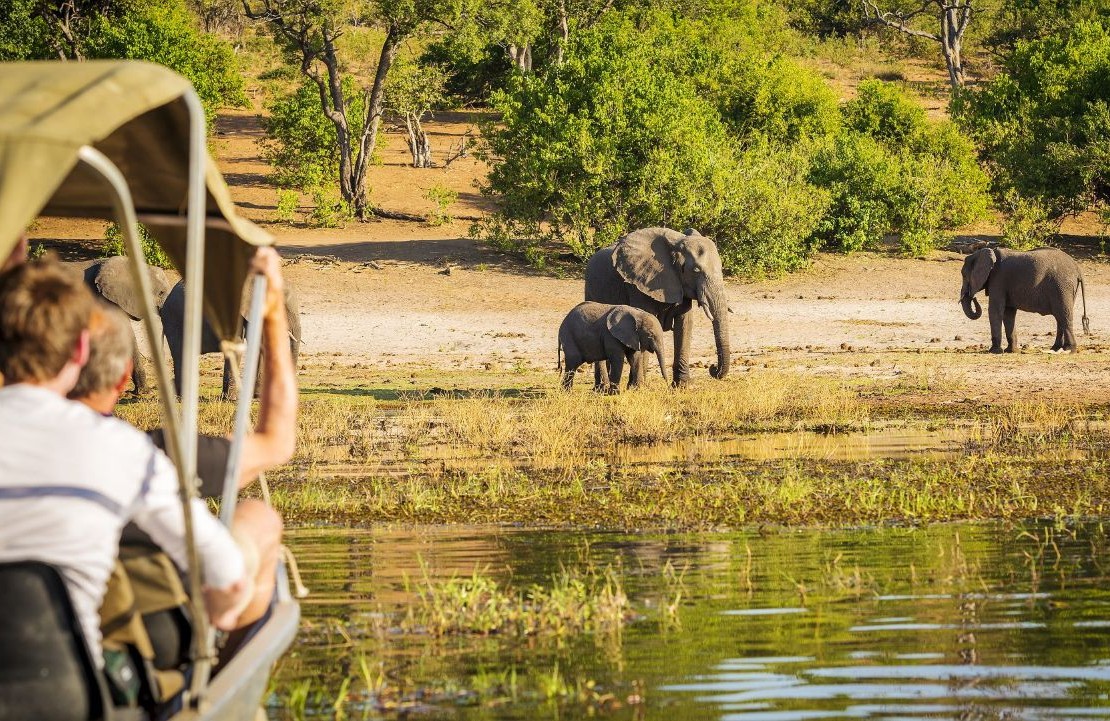 Voyage en solo au Botswana - Le parc national Chobe et ses éléphants - Amplitudes