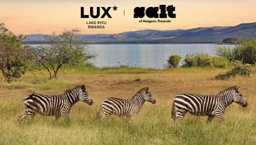 Voyage autour du lac Kivu - Les zèbres dans la savane - Amplitudes