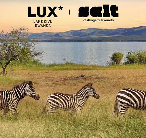 Voyage autour du lac Kivu - Les zèbres dans la savane - Amplitudes