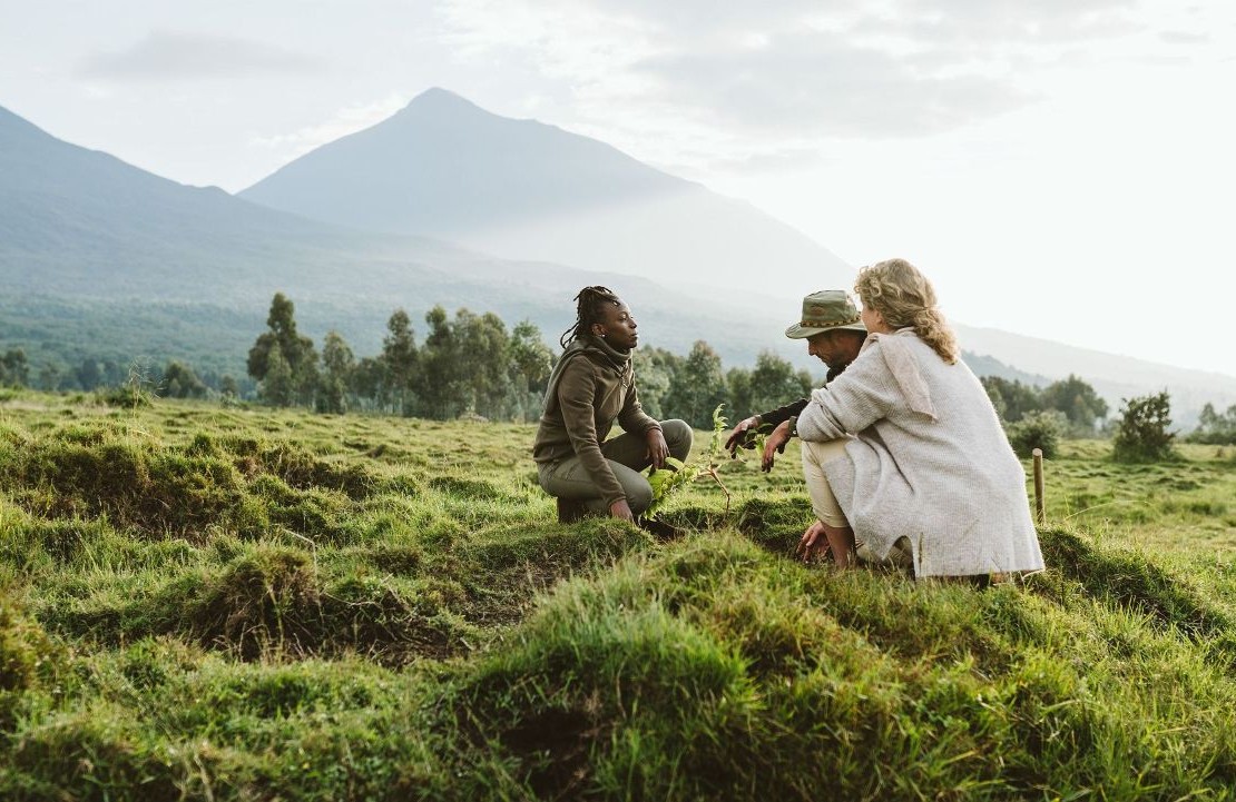 Safari haut de gamme au Rwanda -Singita Kwitonda dans le parc national des Volcans - Amplitudes