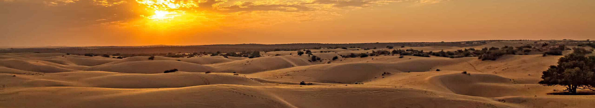 Voyage Au Désert du Thar