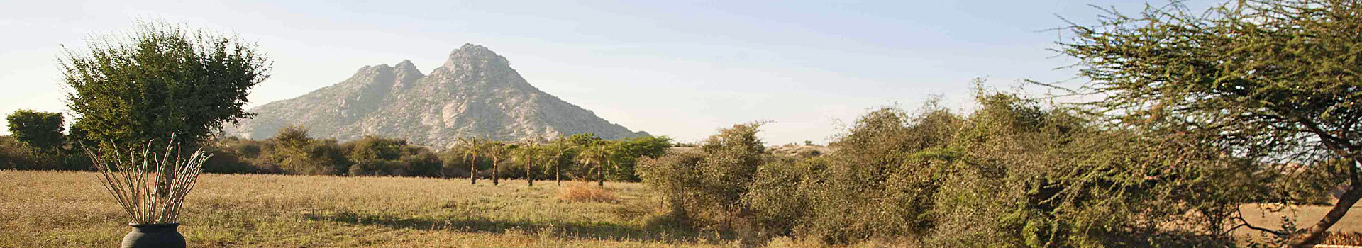 Voyage Au Monts Aravalli