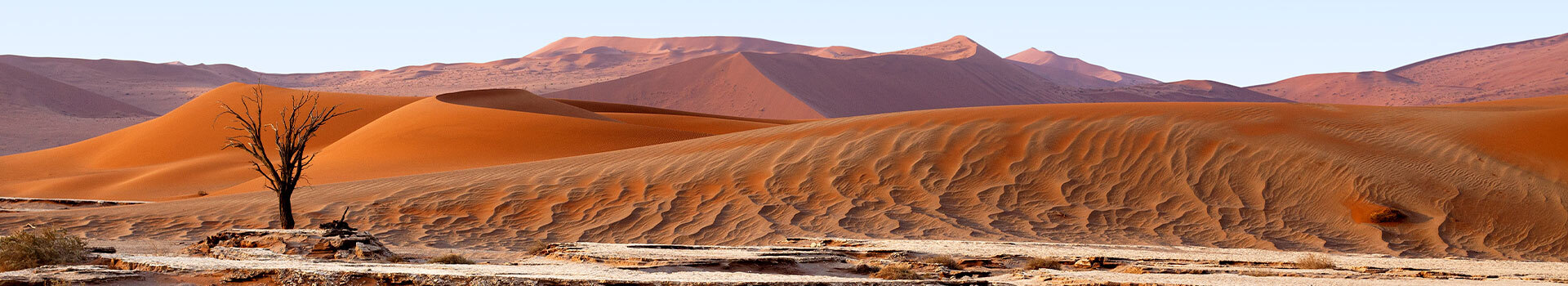 Voyage Au Parc national de Namib-Naukluft