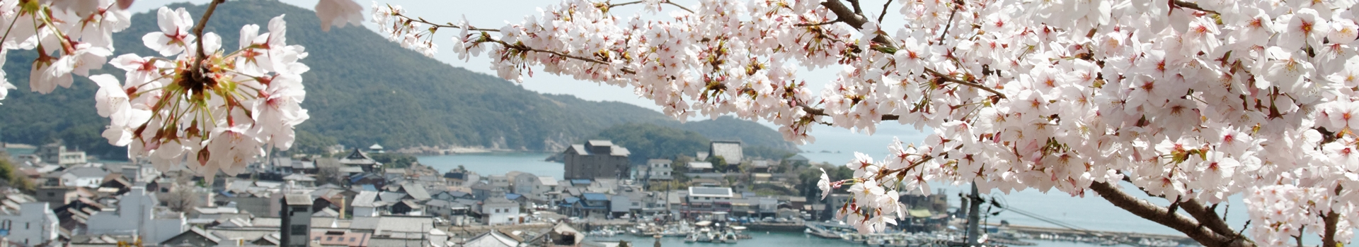 Voyage A Tomonoura