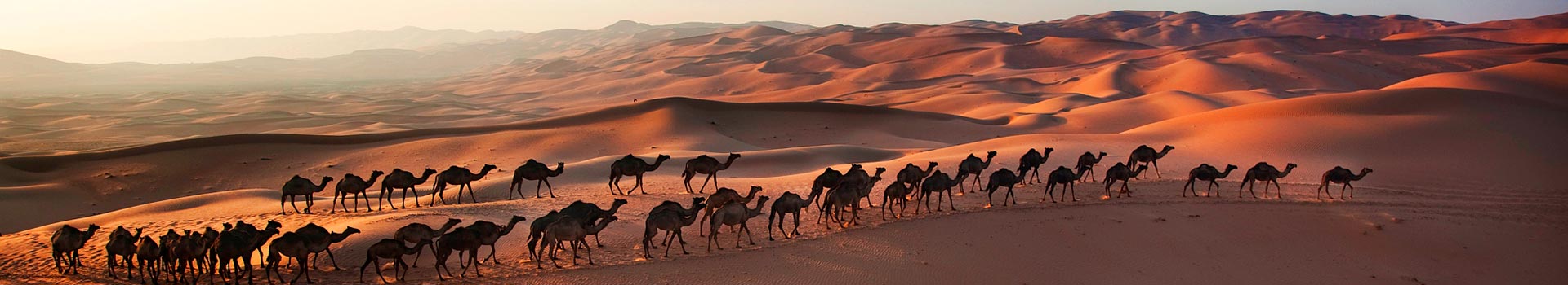 Voyage aux Emirats Arabes Unis