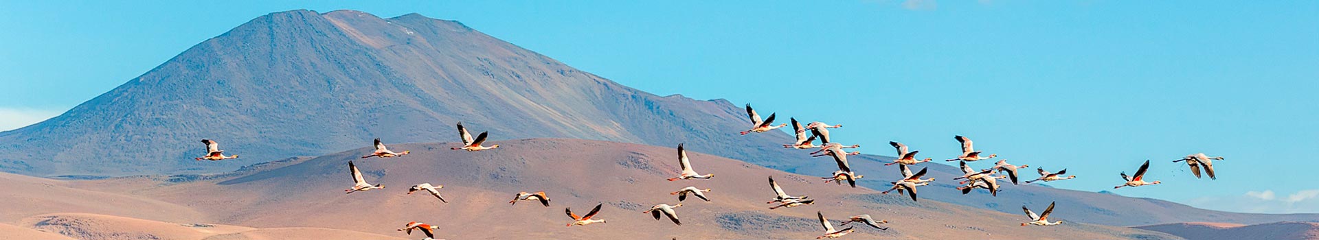 Voyage en Bolivie