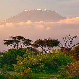 voyage_afrique_séjour_sur_mesure_kenya_safari_mont_kenya