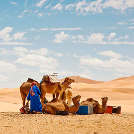voyage_afrique_du_nord_visiter_le_maroc_visiter_agadir