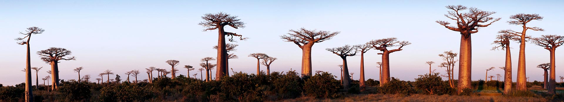 Voyage à Madagascar