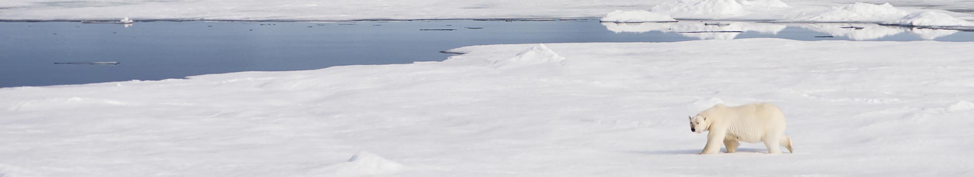 Voyage aux Iles Svalbard et Jan Mayen