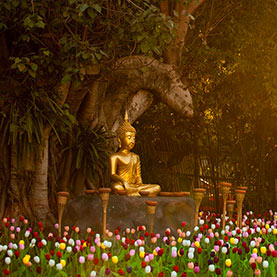 voyage_asie_voyage_sur_mesure_thailande_visiter_ayutthaya