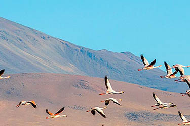 voyage_bolivie_lac_titicaca_detroit_de_tiquina