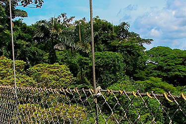 partir_en_amerique_centrale_sejour_decouverte_costa_rica_vister_volcan arenal