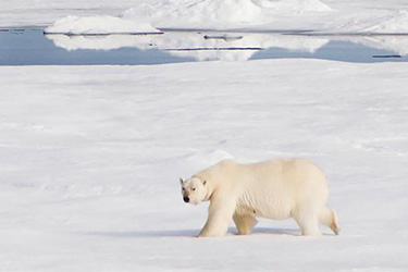 pano Svalbard et Jan Mayen