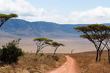 partir_en_Afrique_séjour_a_la_carte_en_Tanzanie_visiter_parc_national_de_tarangire_ voyage sur_mesure